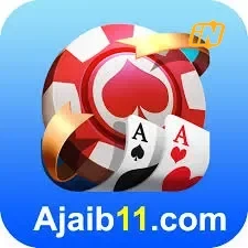 Logo ajaib11